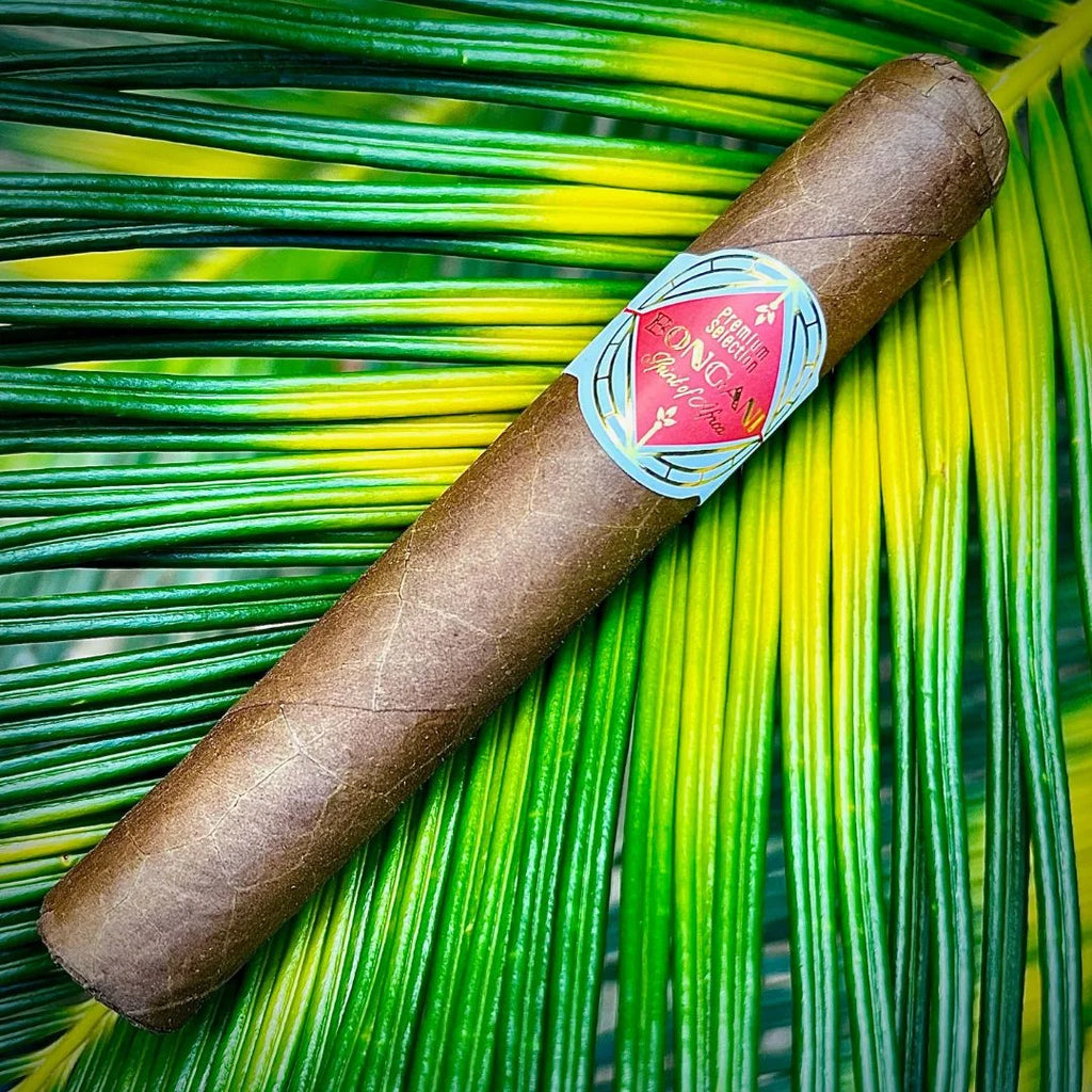 BONGANI ROBUSTO